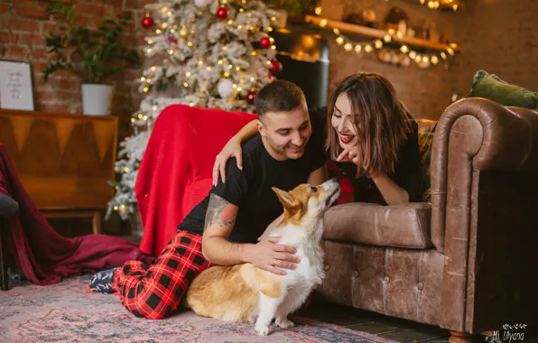 Картинка девушка, диван, настроение, собака, Новый год, ёлка, парень, Вельш-корги, Ульяна Мизинова