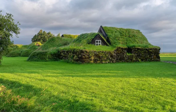Картинка крыша, зелень, поле, трава, облака, дом, дерево, поляна, окно, луг, домик, Исландия, лужайка, каменный, холмики, …