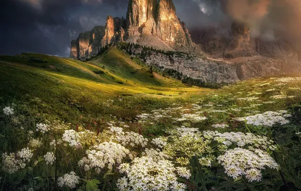 Картинка пейзаж, горы, тучи, природа, растительность, Италия, Доломиты