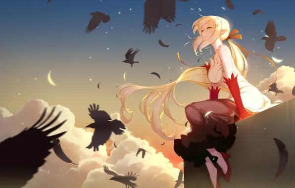 Картинка небо, девушка, птицы, Bakemonogatari, Oshino Shinobu