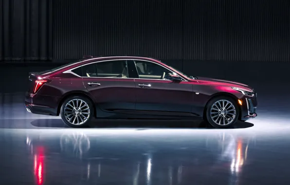 Картинка Cadillac, вид сбоку, 2020, Premium Luxury, CT5