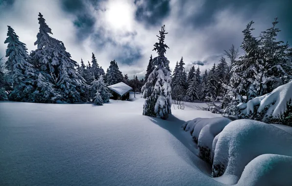 Картинка зима, снег, деревья, пейзаж, природа, дом, ели, сугробы, Robert Didierjean