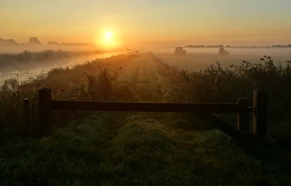 Картинка дорога, поле, лето, небо, трава, солнце, свет, туман, путь, рассвет, доски, забор, даль, утро, горизонт, …