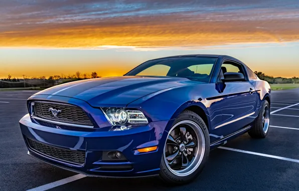 Картинка Muscle car, Pony Car, 2014 Ford Mustang