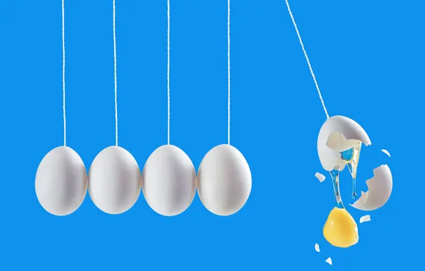 Картинка яйца, eggs, Dina Belenko, Newton's cradle