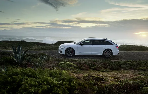 Картинка белый, Audi, вид сбоку, гибрид, универсал, Audi A6, 2020, A6, A6 Avant, 55 TFSI e …