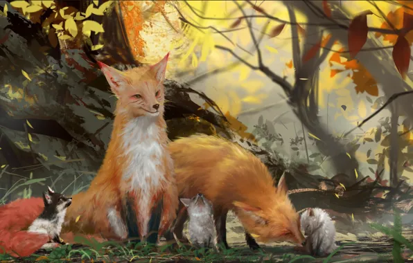 Картинка осень, лес, семья, лисы