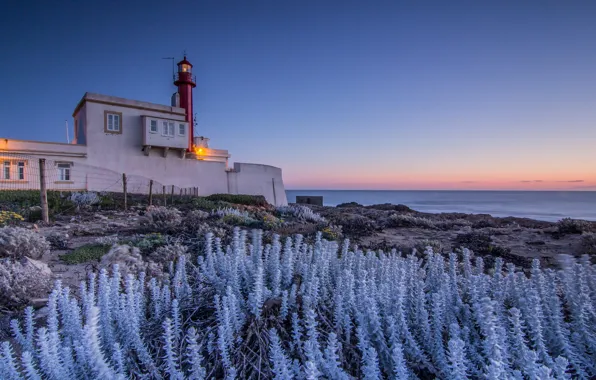 Картинка свет, закат, океан, берег, растительность, маяк, вечер, Португалия