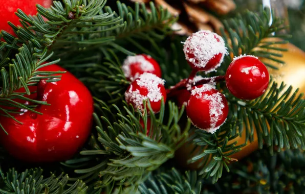 Картинка зима, ветки, ягоды, праздник, яблоко, шарик, плоды, Рождество, красные, Новый год, ёлка, хвоя, боке, ёлочные …