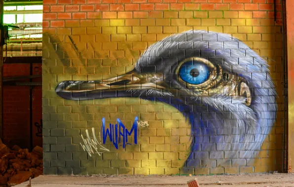Картинка птица, голова, стена граффити
