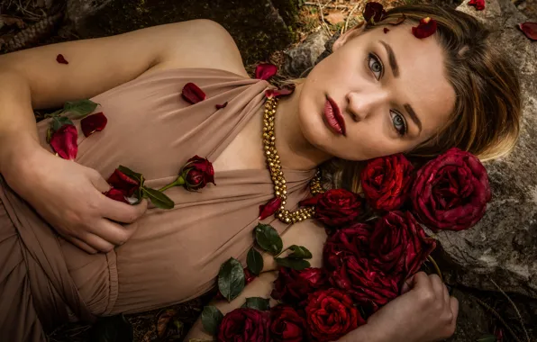 Картинка взгляд, девушка, цветы, лицо, розы, лепестки, Светлана Литвинова