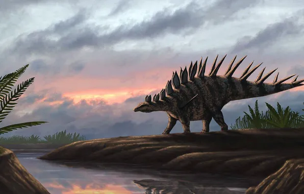 Картинка Динозавр, Древние животные, Вымершие животные, Kentrosaurus aethiopicus, Кентрозавр