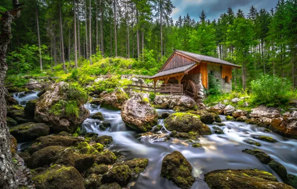 Картинка лес, деревья, ручей, камни, Австрия, речка, водяная мельница, Austria, Golling an der Salzach, Schwarzbach Creek, …