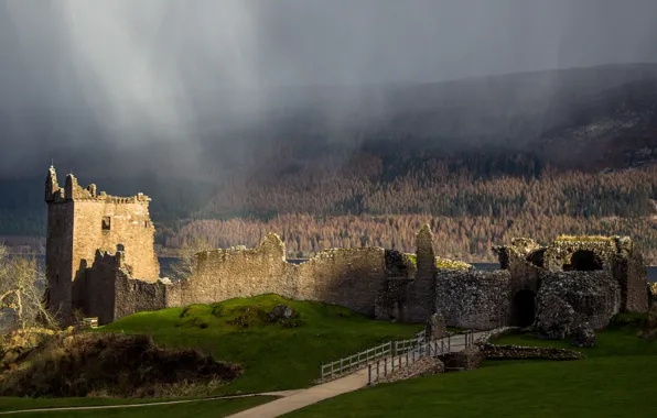 Картинка лес, горы, озеро, дождь, пасмурно, Шотландия, руины, замок Аркарт, средневековая архитектура
