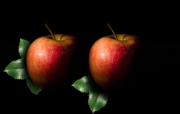 Картинка apple, fruit, silhouette