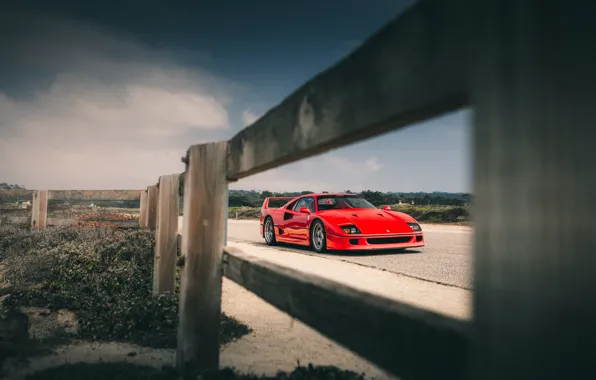 Картинка Ferrari, Red, F40