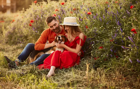 Картинка девушка, радость, цветы, настроение, собака, шляпа, платье, парень, в красном, улыбки, на траве, сидят