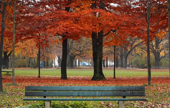Картинка осень, листья, деревья, скамейка, парк, colorful, nature, park, autumn, leaves, tree, bench