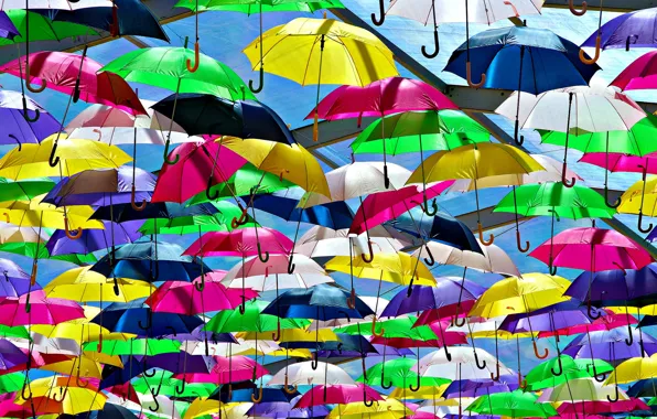 Картинка яркий, зонт, разноцветный