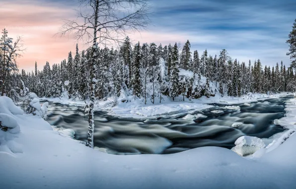 Картинка зима, лес, снег, река, утро