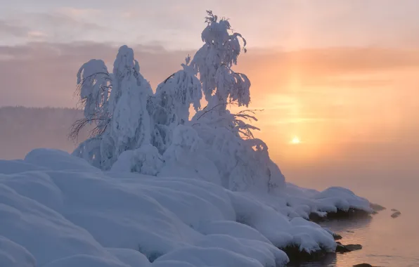 Картинка зима, вода, снег, пейзаж, закат, природа, дерево, пар, Кольский полуостров, Максим Евдокимов