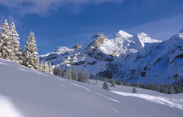 Картинка зима, снег, деревья, горы, Швейцария, ели, сугробы, Switzerland, Bernese Alps, Бернские Альпы