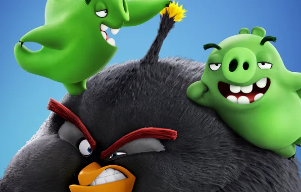 Картинка злость, птичка, свинки, The Angry Birds Movie 2