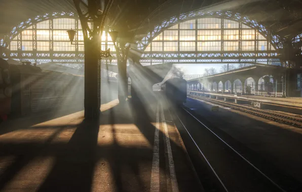 Картинка солнце, лучи, поезд, перрон, Санкт-Петербург, железная дорога, Ed Gordeev