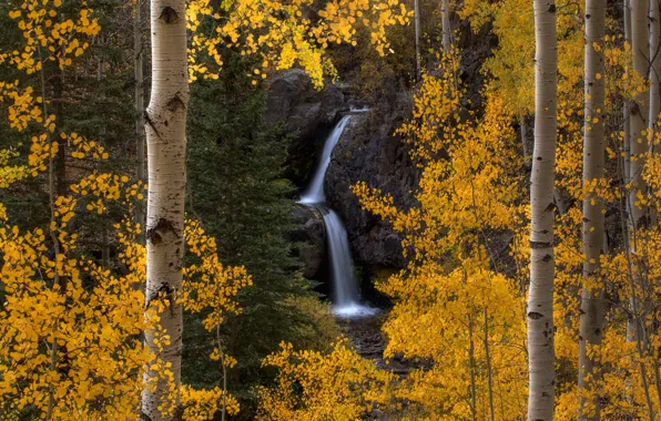 Картинка осень, листва, водопад