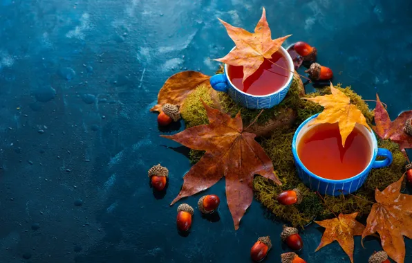Картинка осень, листья, чай, мох, чашки, напиток, кружки, натюрморт, желуди