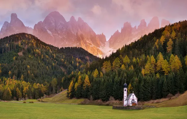 Картинка лес, горы, Альпы, церковь