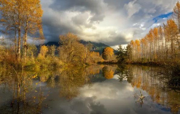 Картинка осень, лес, горы, туман, отражение, водоем
