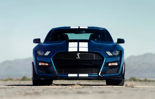 Картинка синий, Mustang, Ford, Shelby, GT500, спереди, 2019