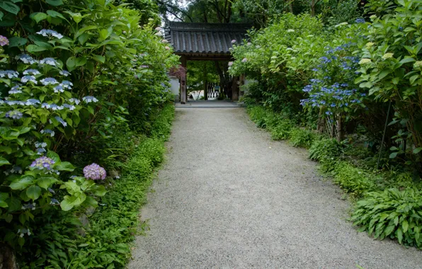 Картинка Природа, Япония, Ворота, Храм, Дорожка