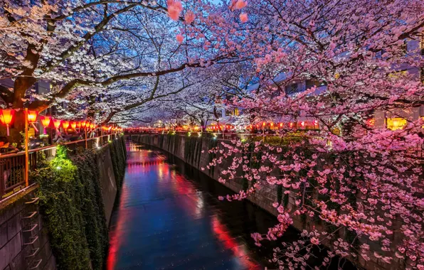 Картинка река, весна, Япония, сакура, Токио