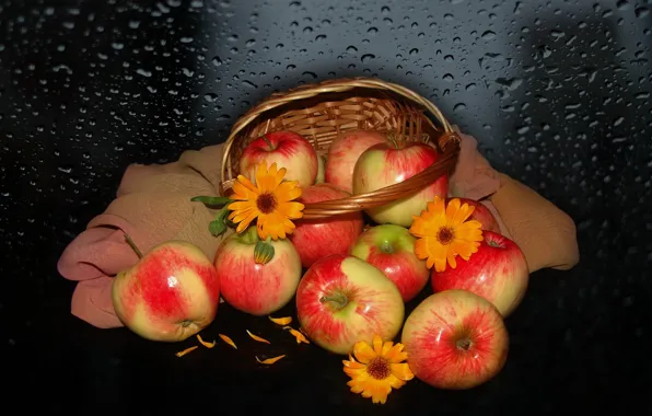 Картинка цветы, природа, настроение, яблоки, красота, корзинка, красивые, beautiful, beauty, harmony, обои на рабочий стол, полевые …