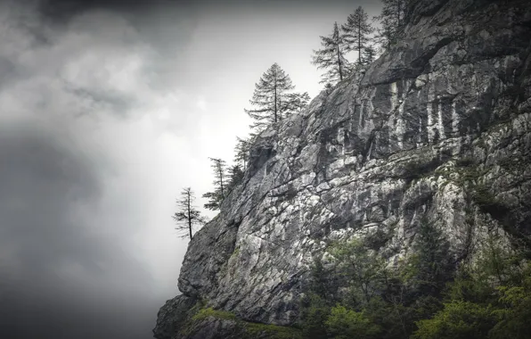 Картинка природа, туман, гора