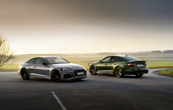 Картинка Audi, купе, TFSI, RS 5, 2020, спортбэк, RS5 Coupe, V6 Biturbo, 450 л.с., RS5 Sportback