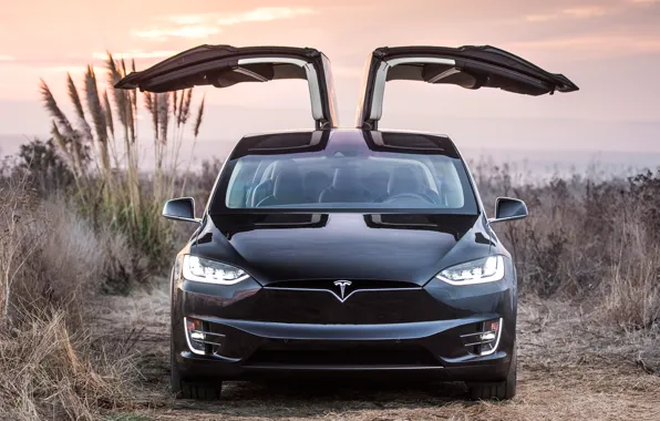 Картинка Tesla, Model X, electic car