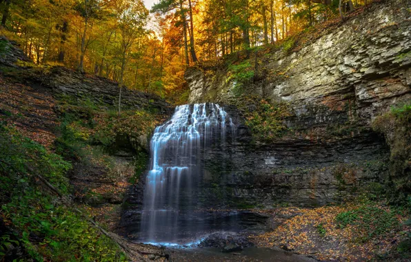 Картинка осень, лес, скала, водопад, Канада, Онтарио, Canada, каскад, Ontario, Tiffany Falls, Водопад Тиффани