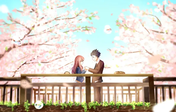 Картинка деревья, парк, романтика, весна, сакура, пара, цветение, Koe no Katachi, Форма голоса