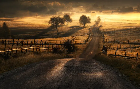 Картинка дорога, солнце, поля, Adnan Bubalo