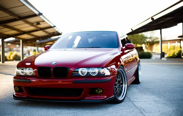 Картинка BMW, E39, M5, Dark red