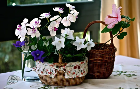 Картинка цветы, колокольчики, орхидея, корзинки, гибискус