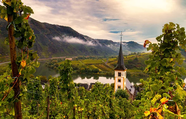 Картинка река, Германия, церковь, виноградник, Брем