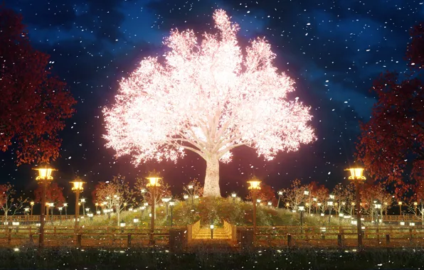 Картинка парк, вечер, сакура, в цвету