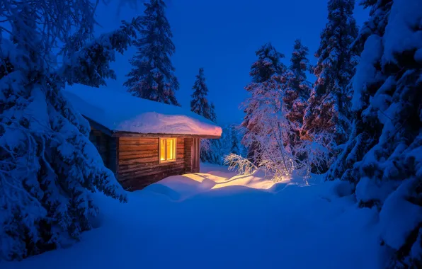 Картинка зима, свет, снег, деревья, пейзаж, ночь, природа, избушка, ели, домик, Андрей Базанов