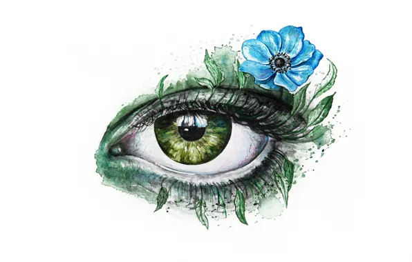 Картинка цветок, взгляд, листья, зеленый, глаз, ресницы, голубой, рисунок, графика, арт, белый фон, живопись, анемона, око, …