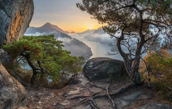 Картинка солнце, облака, деревья, пейзаж, горы, природа, туман, река, камни, Южная Корея