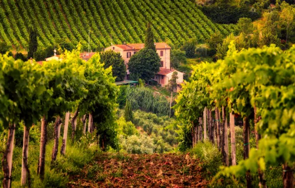 Картинка дом, Италия, виноградник, Тоскана